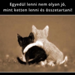 SOK (273).jpg