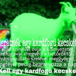 Kecske