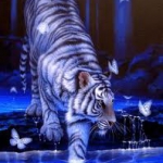 tigris2.jpg