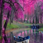 beautifull_view_1.jpg