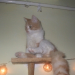 DSCF6075.jpg