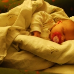 DSCF8678.jpg