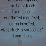 Liam Payne idézet.jpg