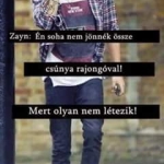 Zayn idézet.jpg