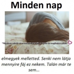 minden nap fáj.jpg