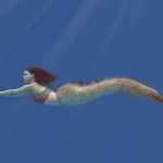 mako-einfach-meerjungfrau-16.jpg