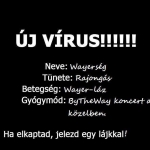 Új virus.jpg
