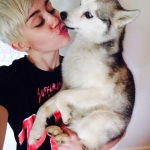 Elpusztult Floyd Miley C. kutyusa....:(((