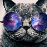cat_with_galaxy_glasses-8898-894.jpg