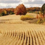 é.jpg