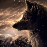 fantasy-wolf-images-free-dowload.jpg