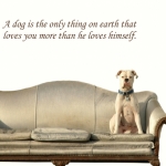 A_dog_is_the_only_thing_on_earth_that_loves_you_more_than_he_loves_himself..jpg