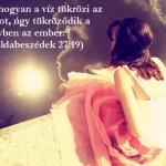 www.tvn.hu_0fbcf74cefa631dbb186aa96ef7b4b90.jpg