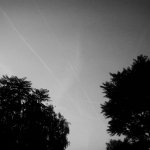 11406423_1433526976969696_8522988313042743707_o.jpg