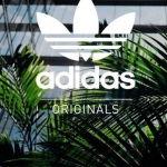 Adidas-wallpaper-10911189.jpg
