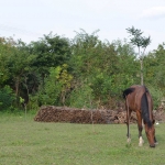 DSC_1115.jpg