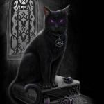 witches-black-cat-da.jpg