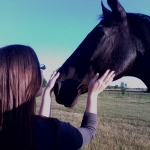 Horse♥