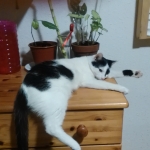 Tired