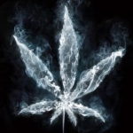 marijuana-smoke.jpg
