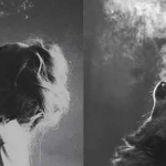 tumblr_o5f95sD4T91tzplp7o1_500.jpg