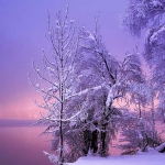 gyönyörű téli kép.jpg