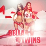 nikki-bella-wwe-wallpapers-hd-1-600x338.jpg