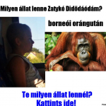 01ab6f4ecd486937c8791742651dc0f5.jpg