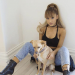 9585305924f69503dcfab05f9fb056e4--ariana-grande-dresses-ariana-grande-dogs.jpg