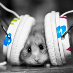 hamster-loves-music.jpg