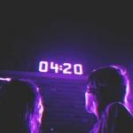 ✨