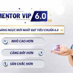 anh-bia-mentor-vip-6.0.jpg