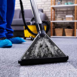 Advantages-Of-Hiring-A-Professional-Carpet-Cleaning-Service.jpg