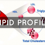 Lipid Profile.jpg