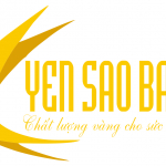 Logo-yen-sao-bao-vy.jpg