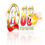 qh884 - Copy.jpg