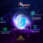 about-us-elip.jpg