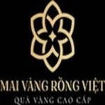 Logo-Mai-Vàng-Rồng-Việt (2) (1) (1) (1).jpg