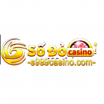 logo-s999.jpg