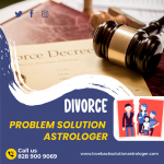 Divorce Problem Solution Astrologer - Copy.jpg