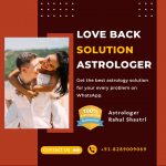 love back.jpg