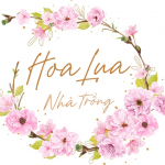 hoa-lua-nha-trong -1.jpg