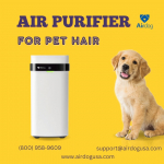 Air Purifier.jpg