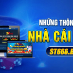 thong-tin-ve-nha-cai.jpg