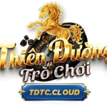 logo-tdtc-cloud.jpg