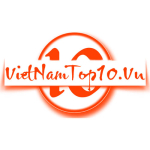 Logo vietnamtop.jpg