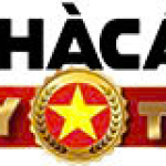 anhacai logo.jpg