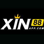 xin88-500.jpg