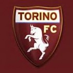toro99.jpg