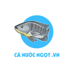 ca-nuoc-ngot-logo-v.jpg